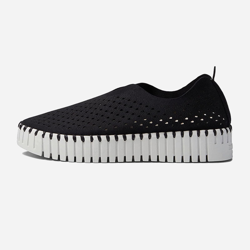 Tulip 3373 Black